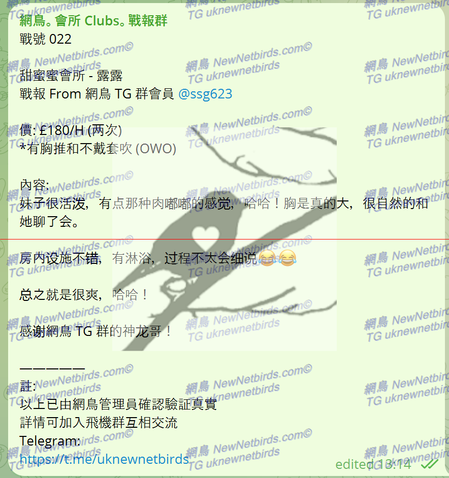 戰號 022 1.png