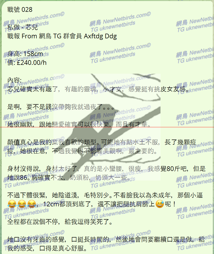 戰號 028 1.png