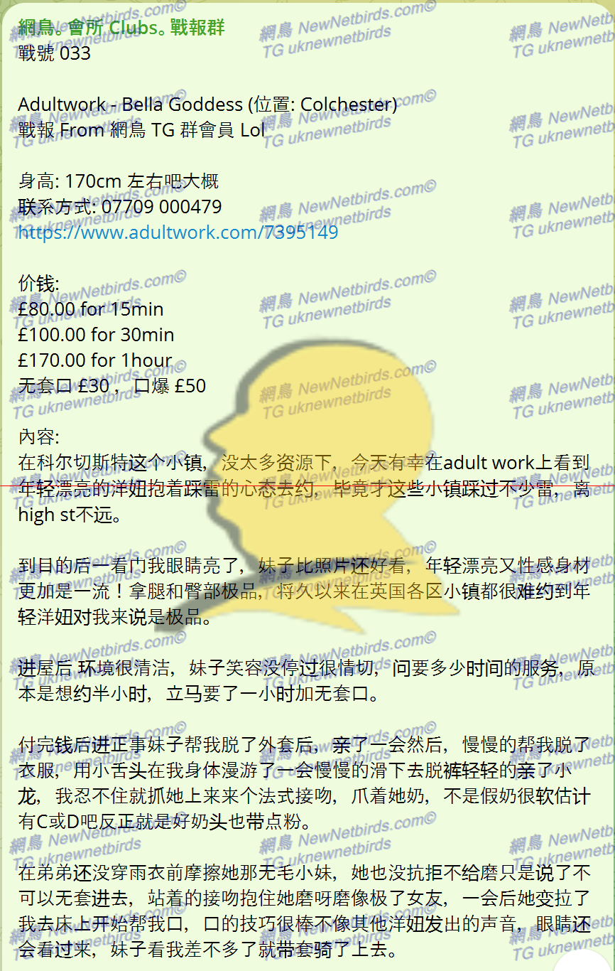 戰號 033 1.png