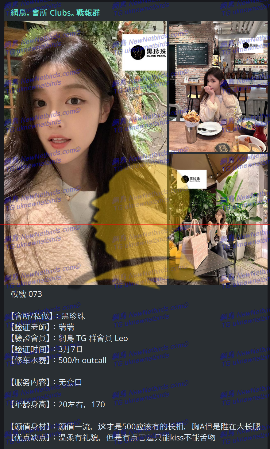 戰號 073 1.png