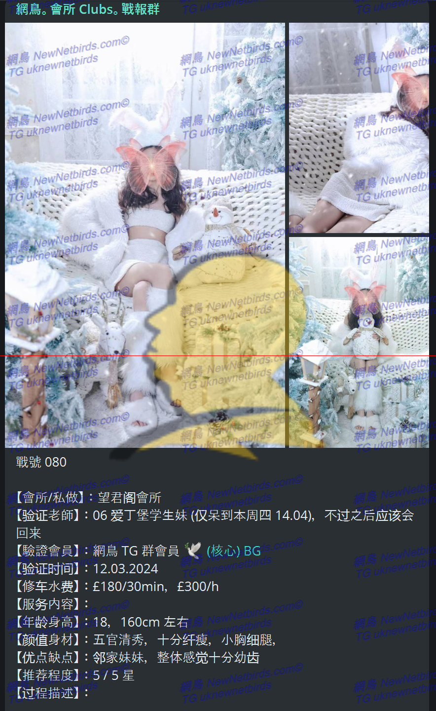 戰號 080 1.png