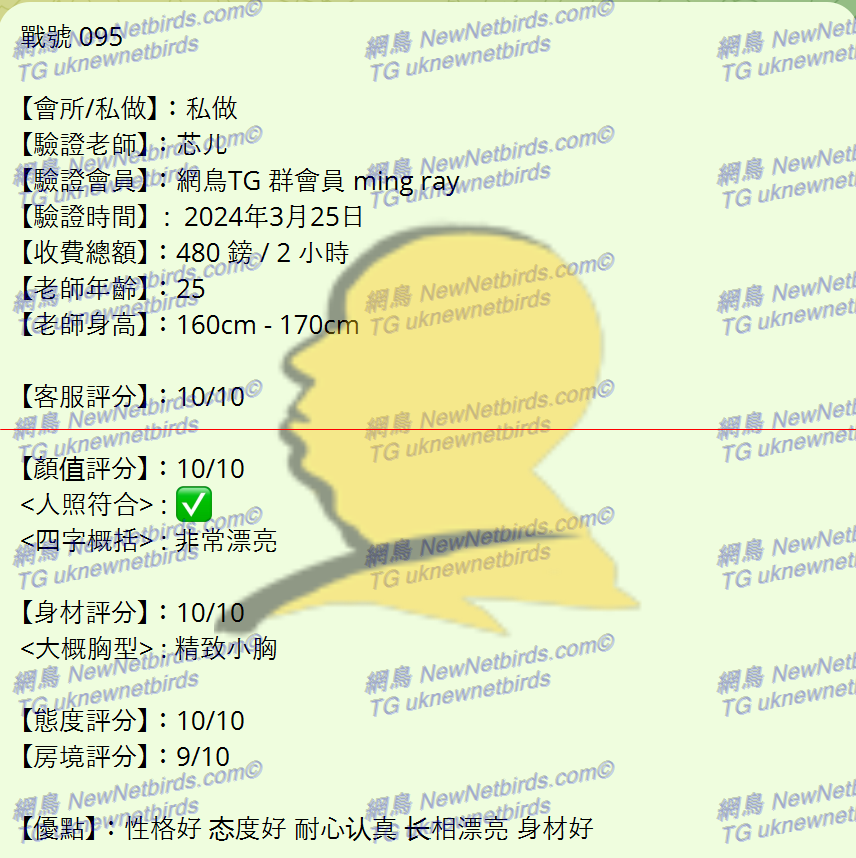 戰號 095 1.png