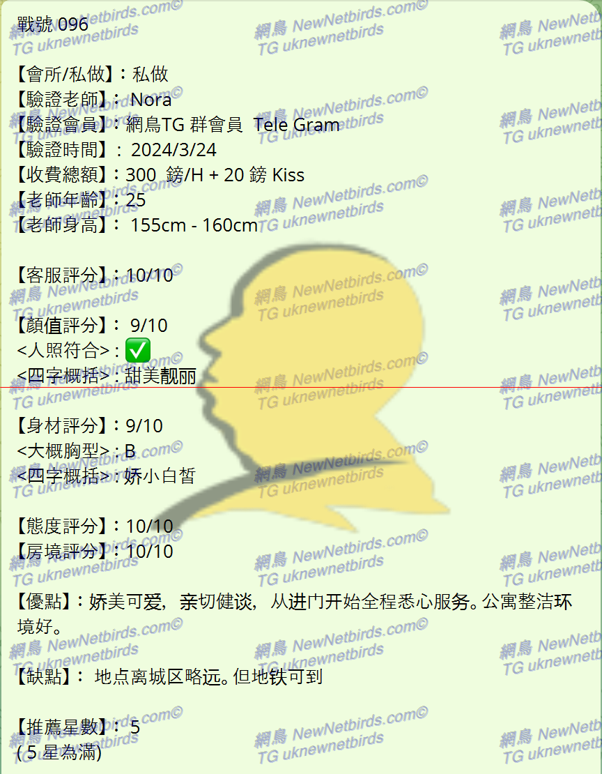 戰號 096 2.png