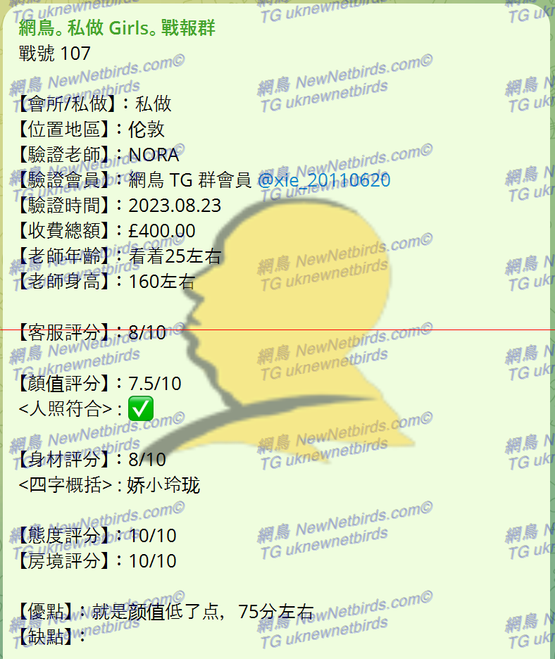 戰號 107 2.png