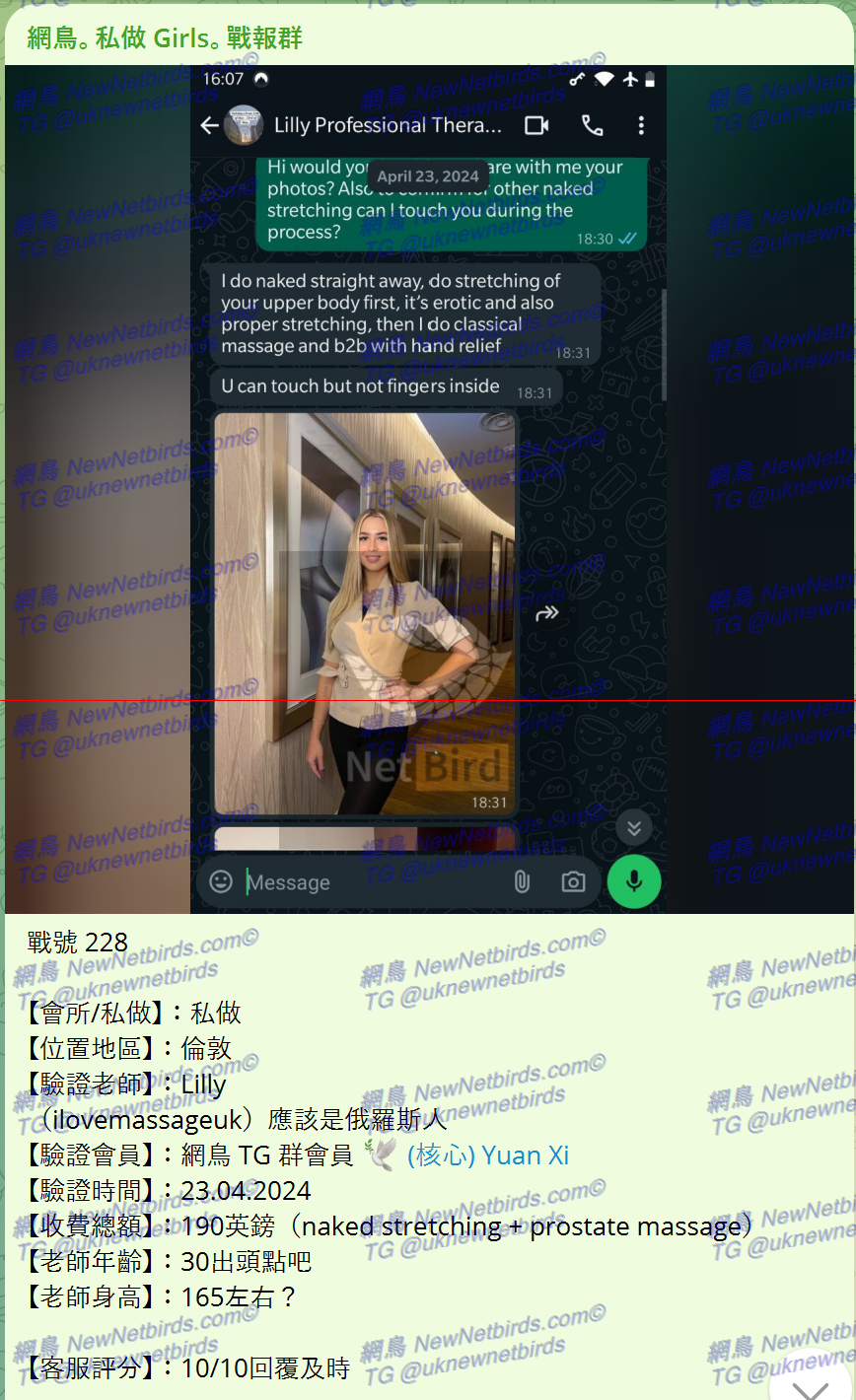 戰號 228 1.png